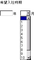 キャプチャ：定型テキストボックス　年月